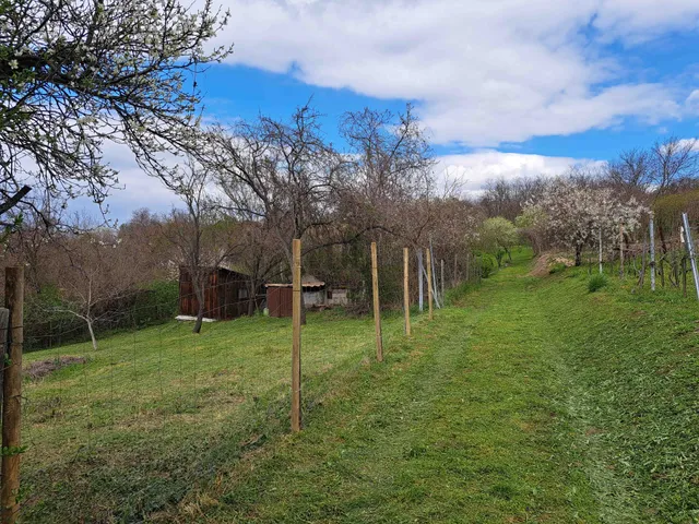 Eladó telek Raposka 944 nm