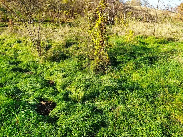 Eladó telek Csabrendek 1835 nm