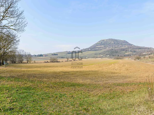 Eladó mezőgazdasági ingatlan Káptalantóti 19033 nm