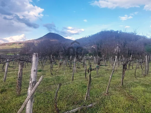Eladó telek Badacsonytomaj 4724 nm