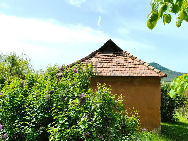 Eladó ház Badacsonytomaj 30 nm