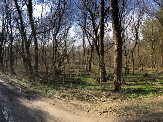 Eladó telek Zalaszántó 7842 nm