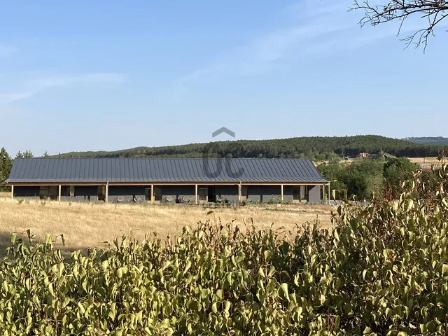 Eladó ház Hegyesd 350 nm