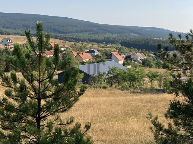 Eladó ház Hegyesd 350 nm