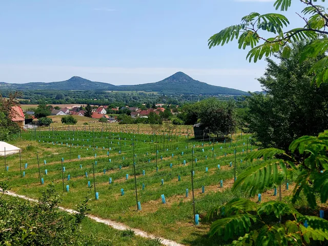 Eladó telek Kisapáti 3075 nm