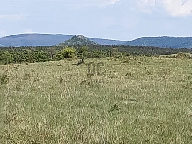 Eladó telek Zalahaláp 1772 nm