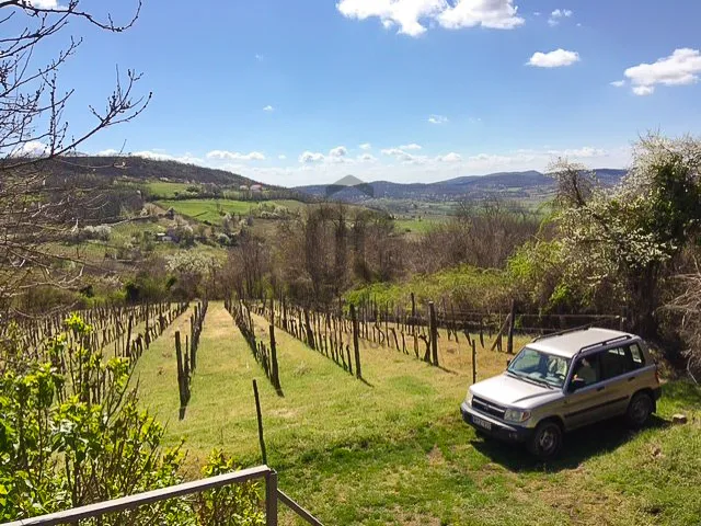 Eladó üdülő és hétvégi ház Mindszentkálla 64 nm