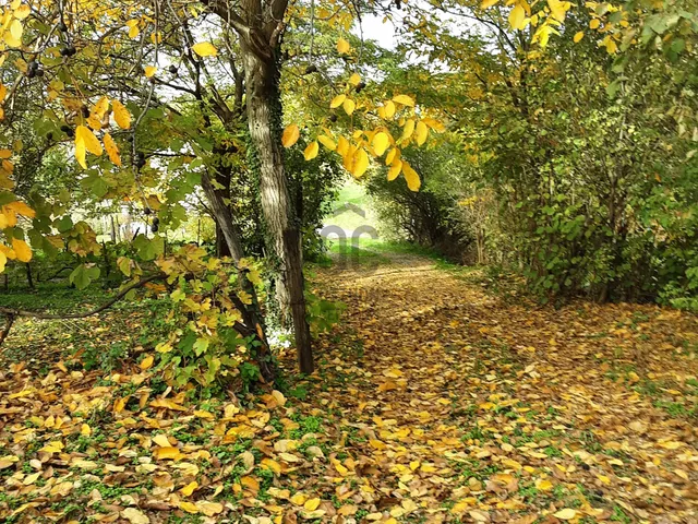 Eladó üdülő és hétvégi ház Raposka 70 nm