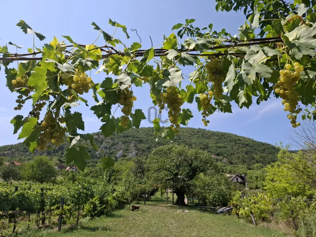 Eladó üdülő és hétvégi ház Balatonederics 55 nm