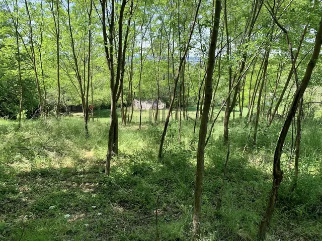 Eladó nyaraló Tapolca, Diszel 30 nm