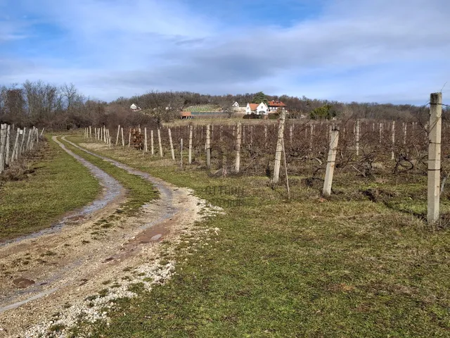 Eladó telek Balatonrendes 20225 nm