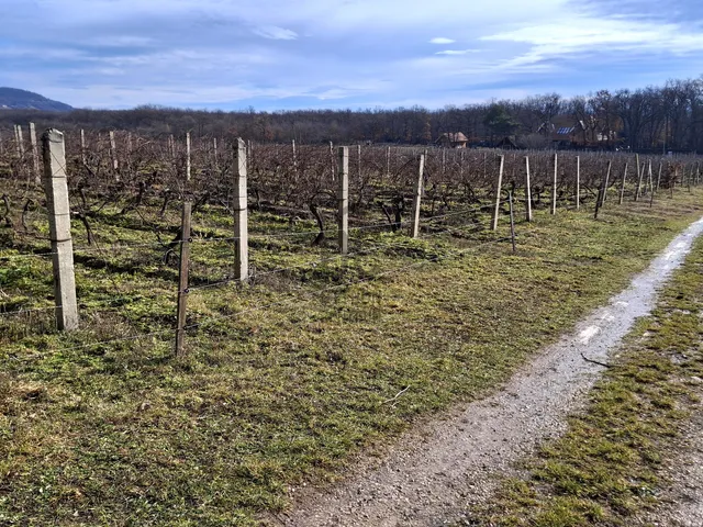 Eladó telek Balatonrendes 20225 nm