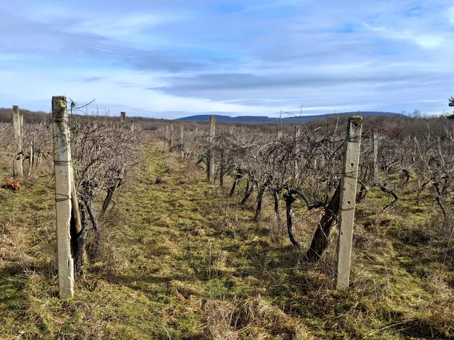 Eladó telek Balatonrendes 20225 nm