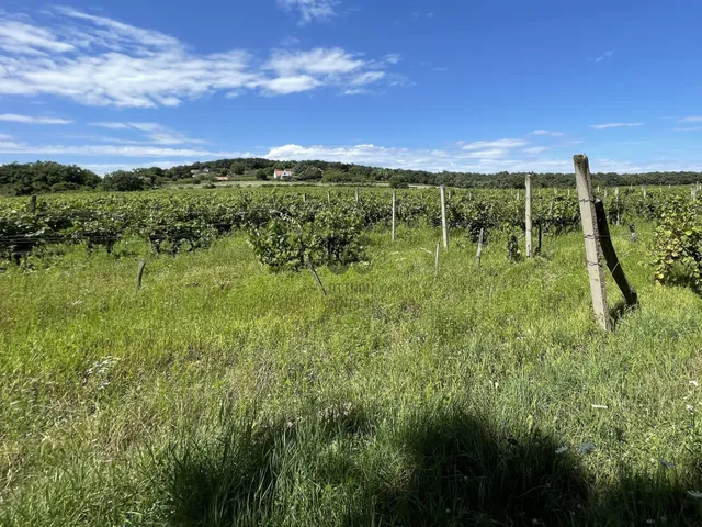 Eladó telek Balatonrendes 20225 nm