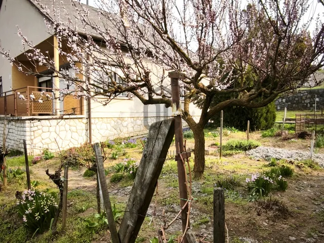 Eladó ház Badacsonytördemic 75 nm