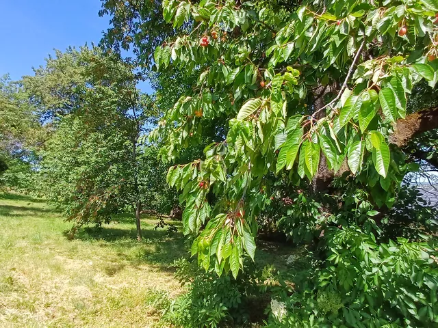 Eladó telek Zalaegerszeg, Vorhota 2832 nm
