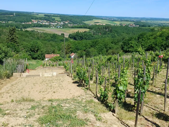 Eladó nyaraló Zalaegerszeg, Szenterzsébethegy 36 nm