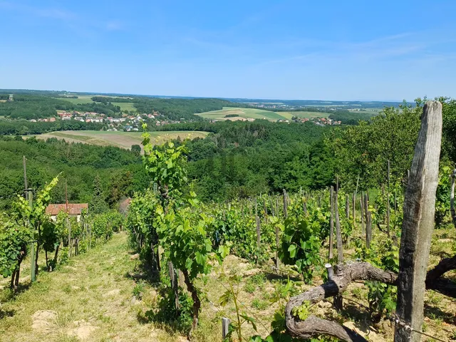 Eladó nyaraló Zalaegerszeg, Szenterzsébethegy 20 nm