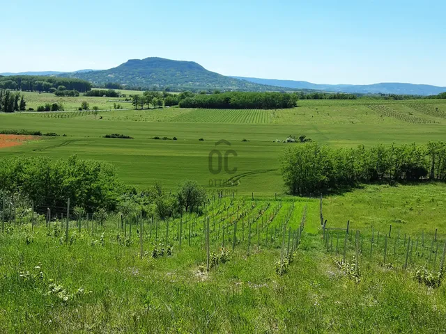 Eladó telek Káptalantóti 5471 nm