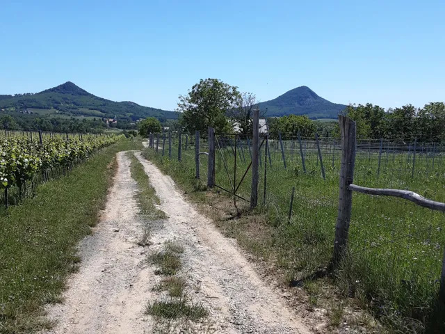 Eladó telek Káptalantóti 5471 nm