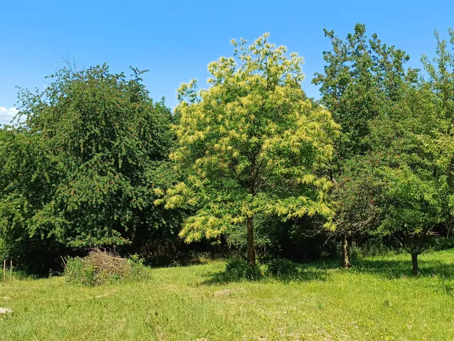 Eladó telek Zalalövő 1082 nm