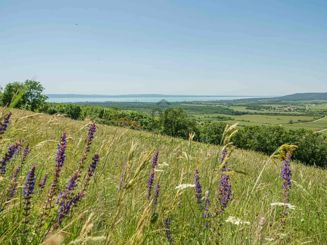 Eladó telek Balatoncsicsó 3573 nm