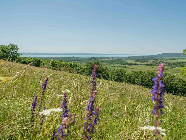 Eladó nyaraló Balatoncsicsó 51 nm