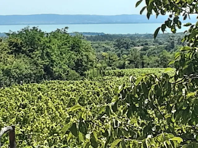 Eladó nyaraló Balatoncsicsó 80 nm