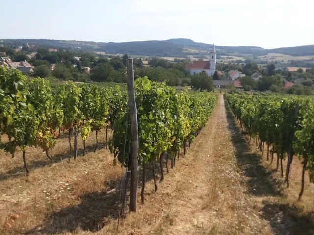 Eladó telek Balatoncsicsó 3062 nm