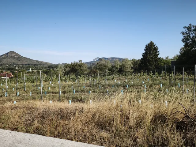 Eladó telek Kisapáti 3075 nm