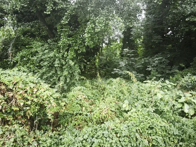 Eladó telek Tapolca, Diszel 3536 nm
