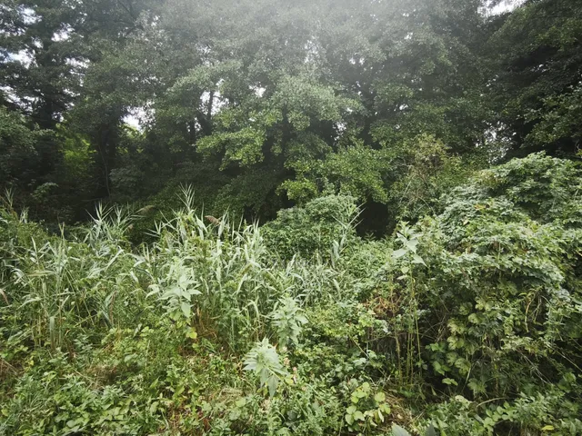 Eladó telek Tapolca, Diszel 3536 nm