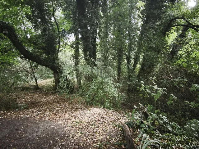 Eladó telek Tapolca, Diszel 3536 nm