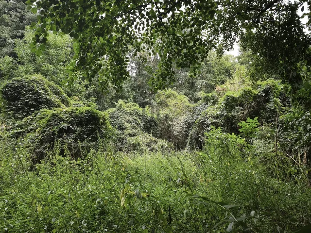 Eladó építési telek, Tapolca, Diszel - Több