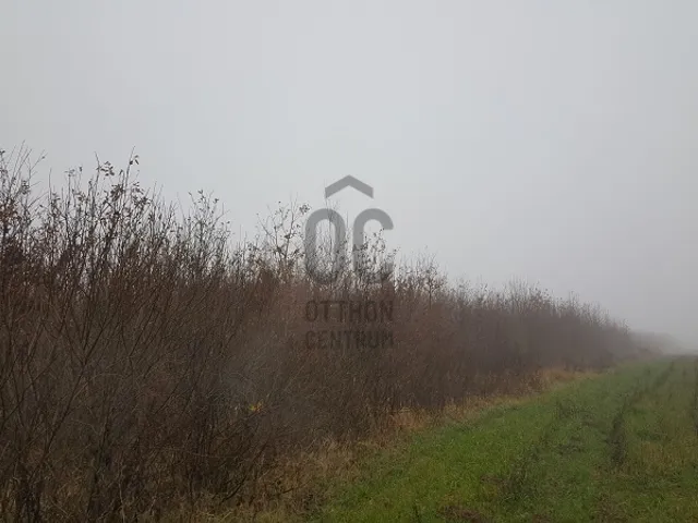 Eladó mezőgazdasági ingatlan Márokpapi 52000 nm