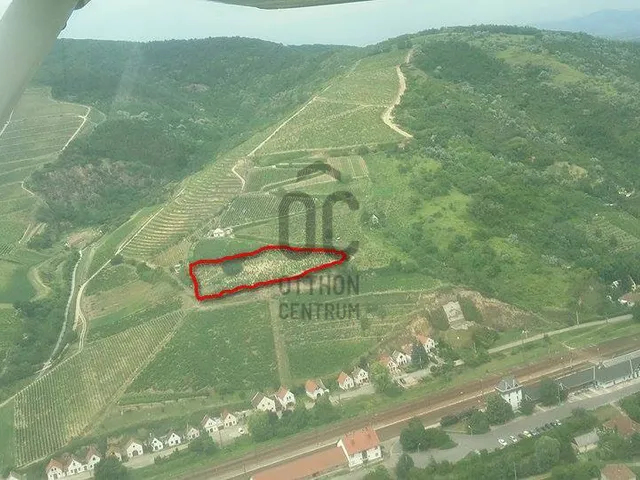 Eladó mezőgazdasági ingatlan Tokaj 5204 nm