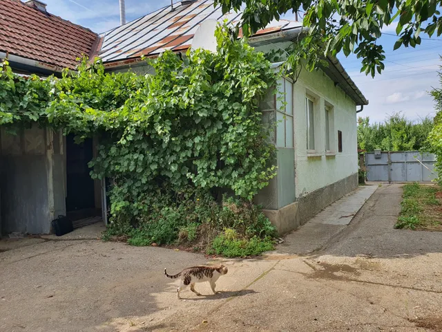 Eladó ház Tornyospálca 93 nm