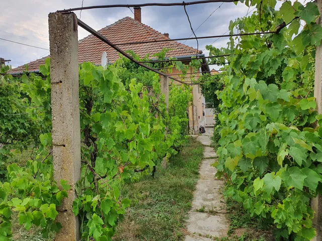Eladó ház Tiszakanyár 90 nm