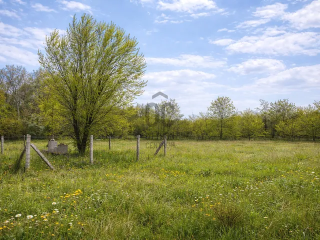 Eladó mezőgazdasági ingatlan Budapest XVII. kerület, Rákoshegy 2633 nm
