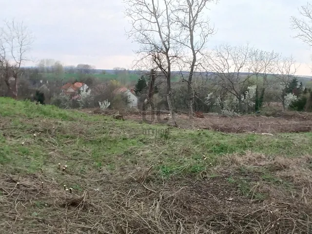 Eladó telek Ajka, Padragkút 3262 nm