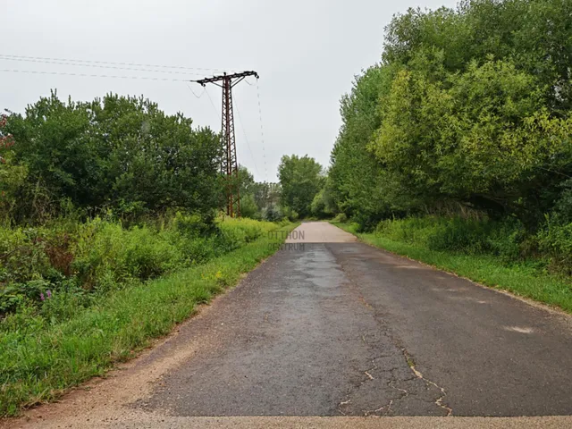Eladó mezőgazdasági ingatlan Ajka 71632 nm