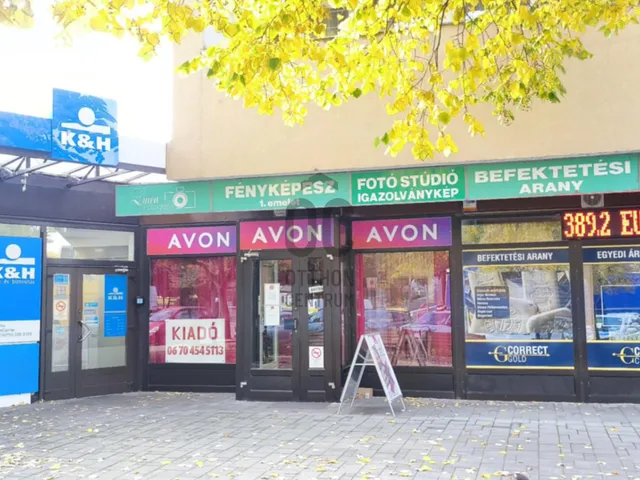 Kiadó kereskedelmi és ipari ingatlan Ajka 60 nm