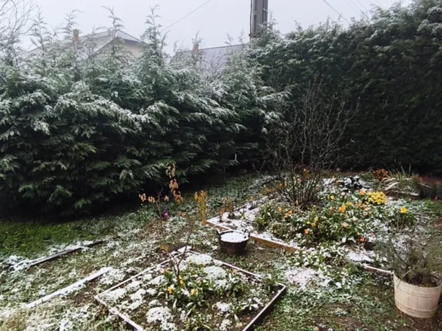 Eladó ház Halimba 182 nm