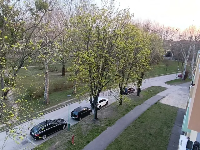 Eladó lakás Ajka 41 nm