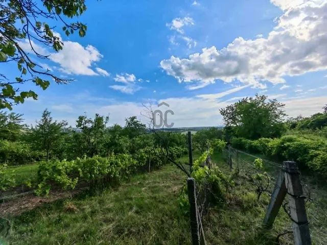 Eladó mezőgazdasági ingatlan Ajka, Csékút 1661 nm