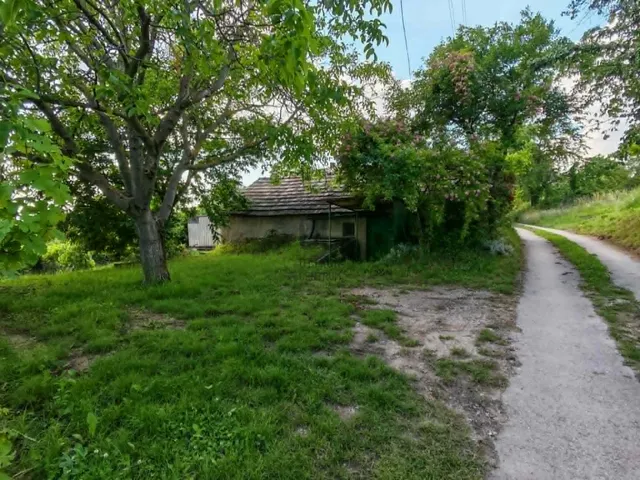 Eladó mezőgazdasági ingatlan Ajka, Csékút 1661 nm