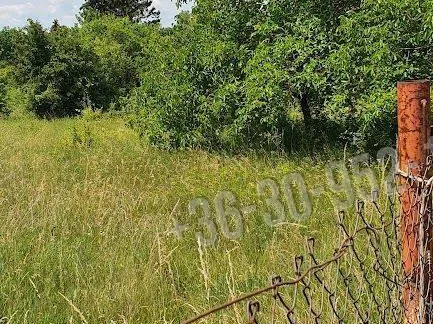 Eladó telek Budakeszi, Máriamakk, Ady Endre utca 3616 nm