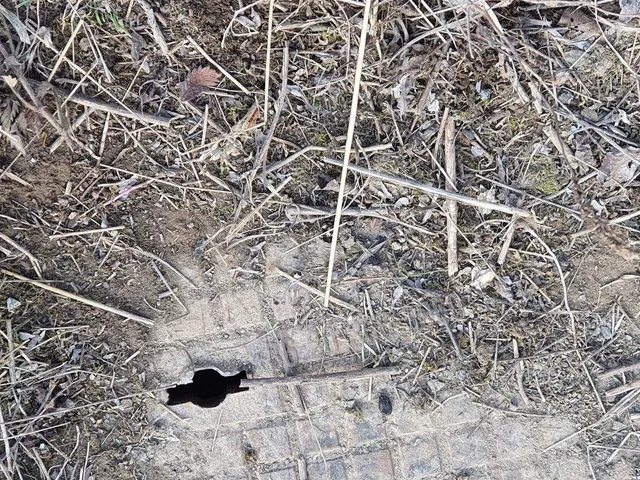 Eladó telek Csabdi 34500 nm