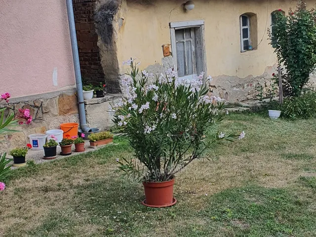 Eladó ház Budakeszi, Szilvamag 100 nm