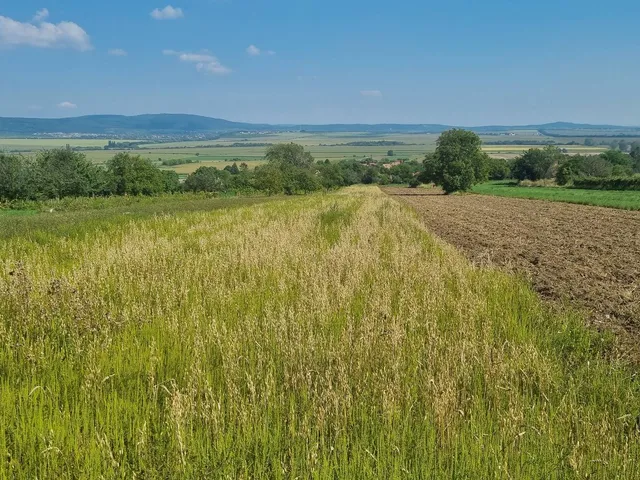 Eladó telek Tök 1650 nm